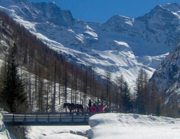 Capodanno in slitta nel Parco