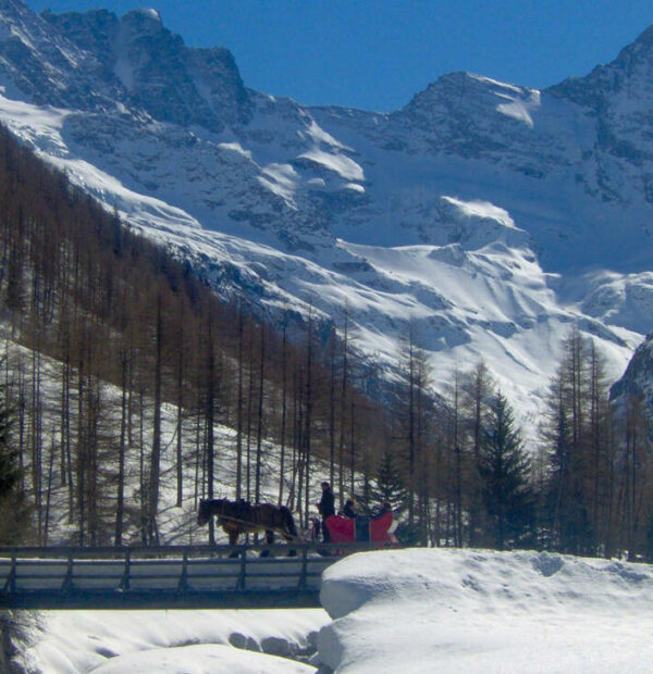 Capodanno in slitta nel Parco